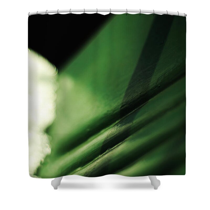 Green Shower Curtain featuring the photograph The Green Chair by Rebecca Sherman