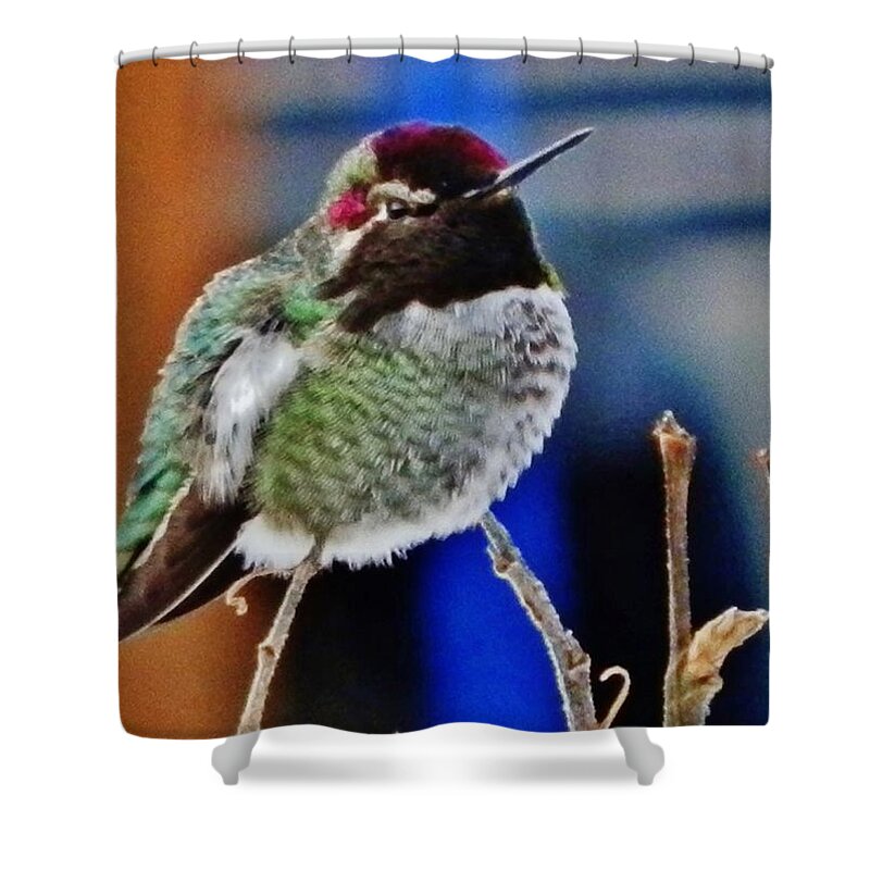 Bird Shower Curtain featuring the photograph The GUARDIAN by VLee Watson