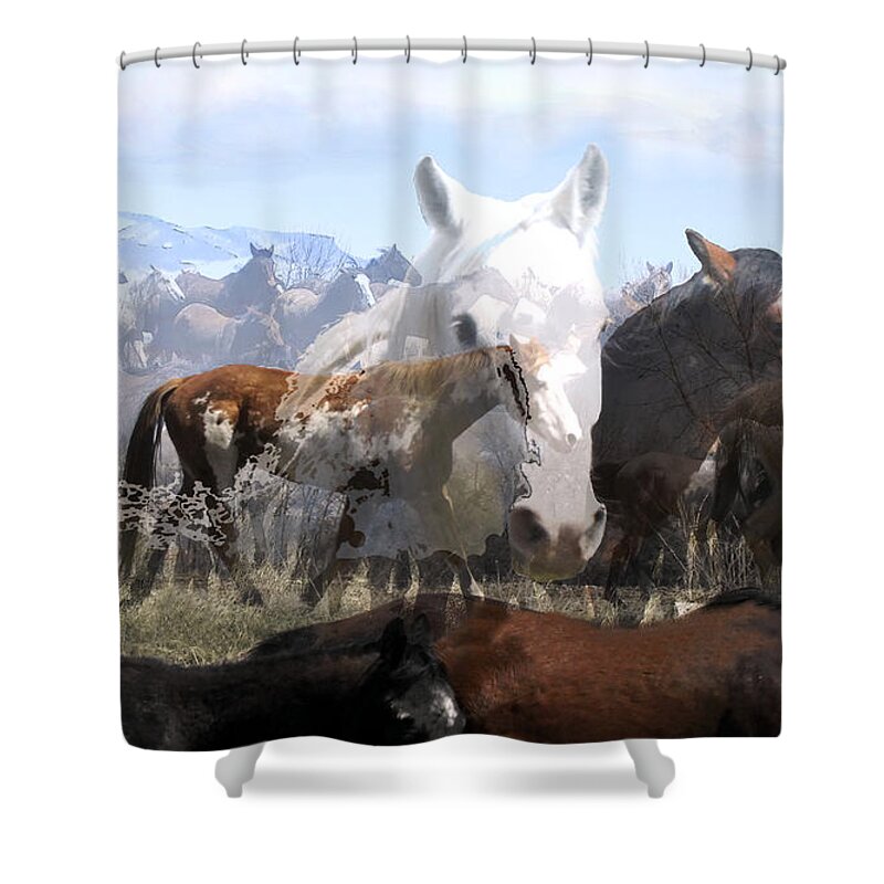 Horses Shower Curtain featuring the photograph The Herd 2 by Kae Cheatham