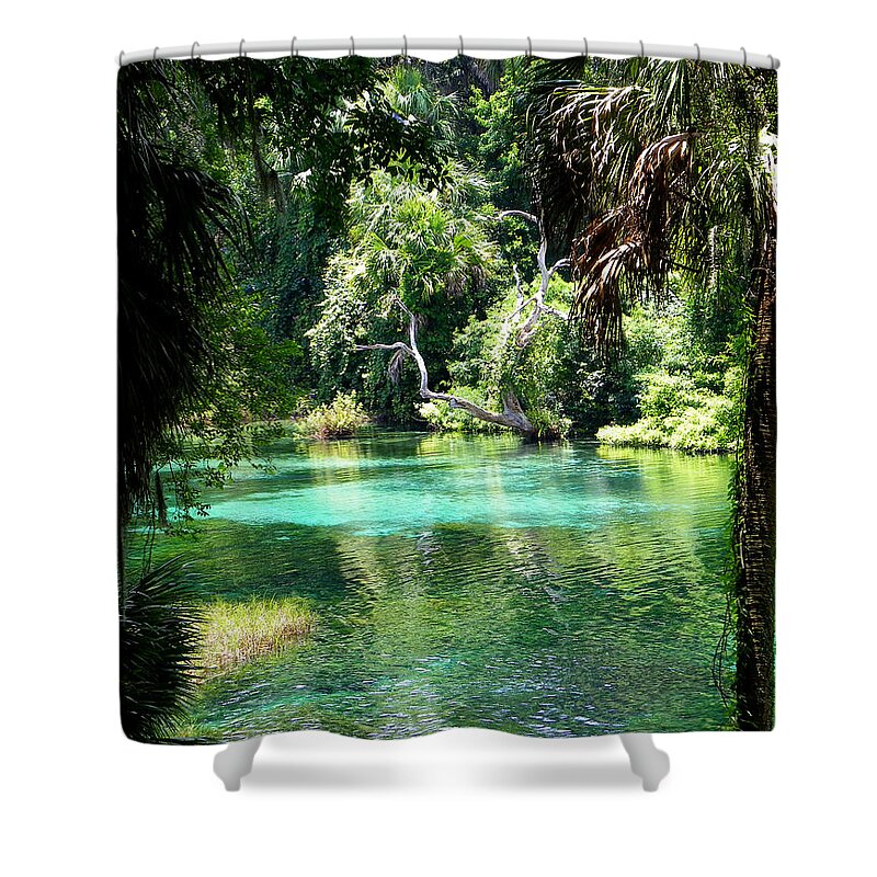 Nature Shower Curtain featuring the photograph The Hidden Spring by Judy Wanamaker