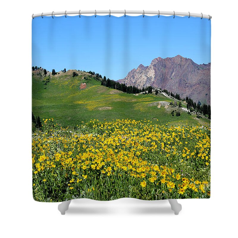 Albion Basin Shower Curtain featuring the photograph The Hills are Alive by Marty Fancy