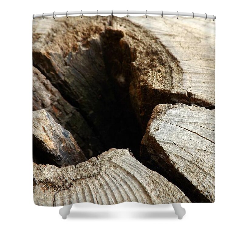 Tree Shower Curtain featuring the photograph The Hole by Clare Bevan