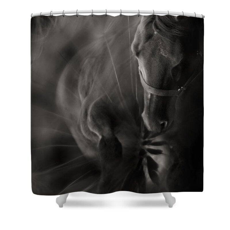Abstract Shower Curtain featuring the photograph The Horse And Dandelion by Ang El