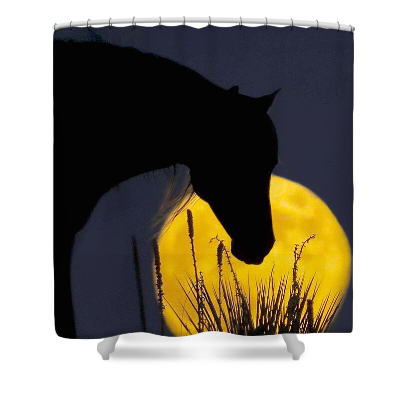 Moon Shower Curtain featuring the photograph The Horse in the Moon by Dawn Key