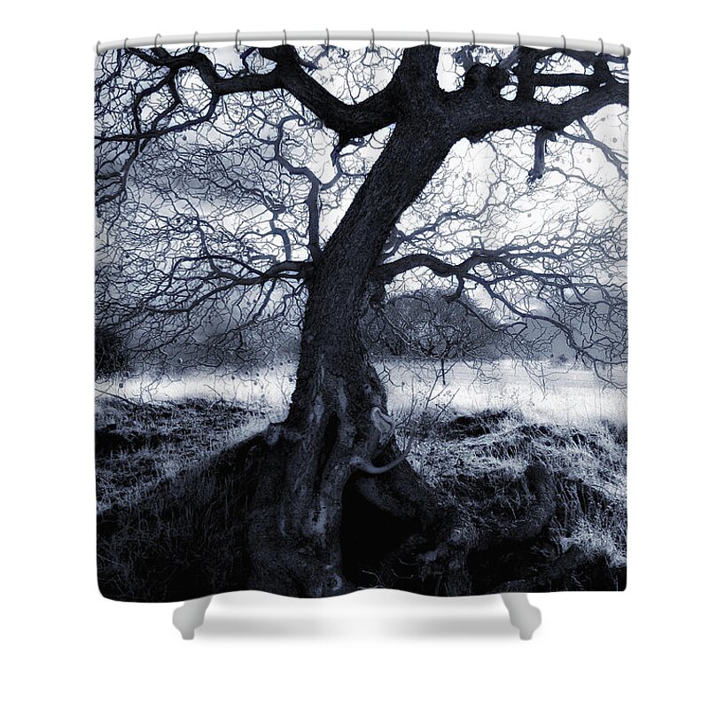 Spook Shower Curtain featuring the photograph The Horseman Rides Tonight by Donna Blackhall