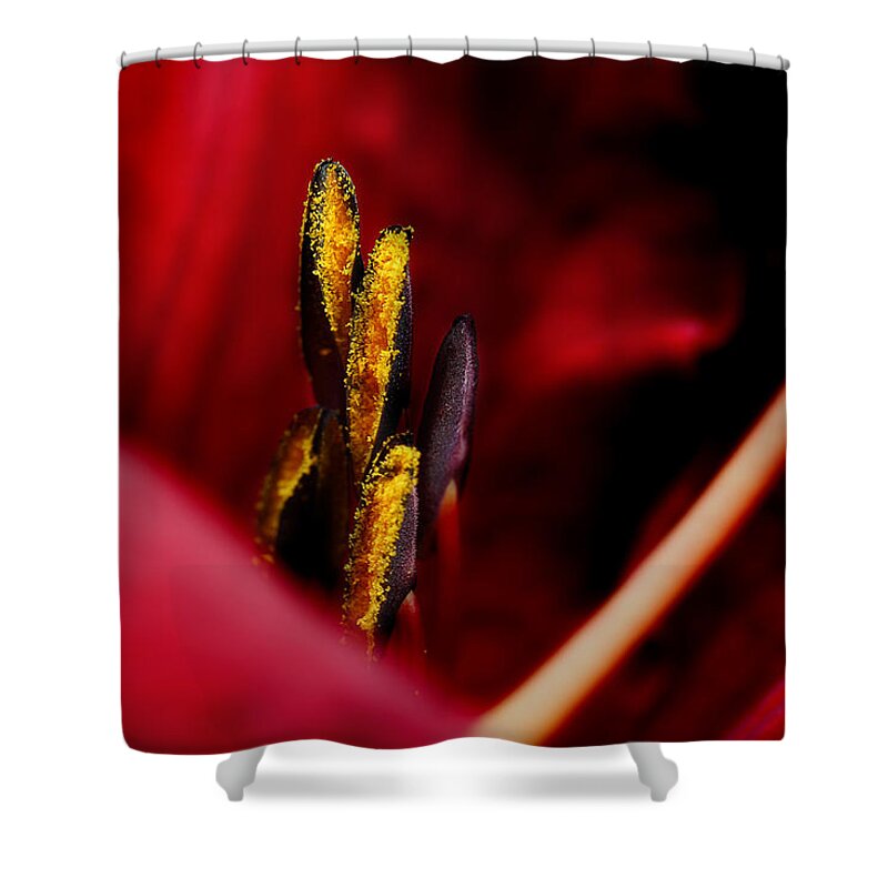 Scarlet Colored Lily Shower Curtain featuring the photograph The Insiders by Michael Eingle