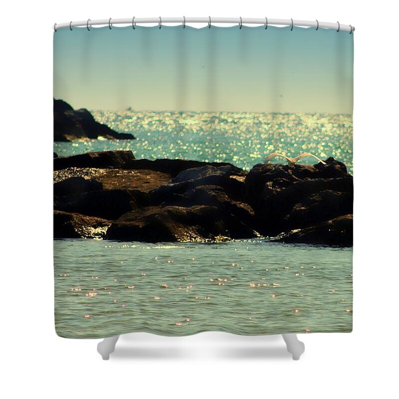 Florida Shower Curtain featuring the photograph The Jetties by Debra Forand