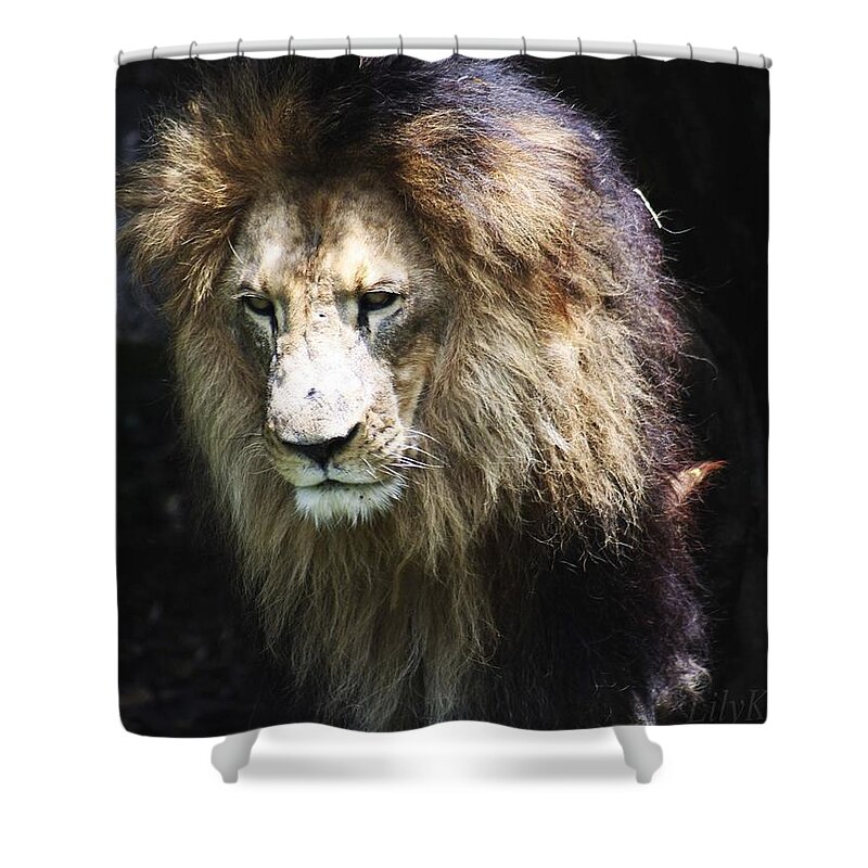 Leon Shower Curtain featuring the photograph The king in the shadows by Lily K