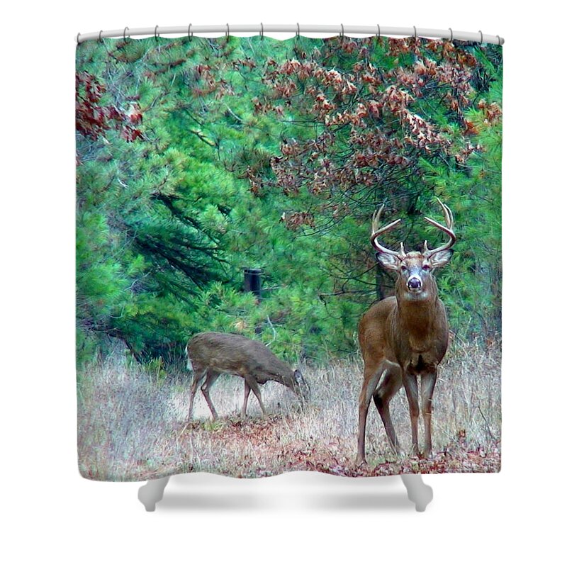 Whitetail Shower Curtain featuring the photograph The King by Thomas Young