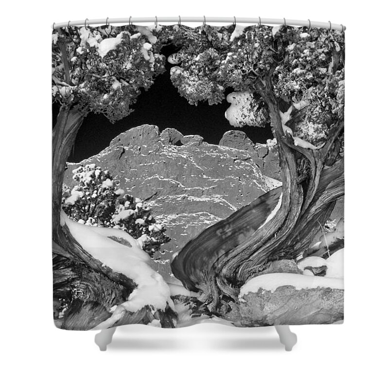 The Kissing Camels Rock Formation Shower Curtain featuring the photograph The Kissing Camels Framed By An Ancient Juniper by Bijan Pirnia