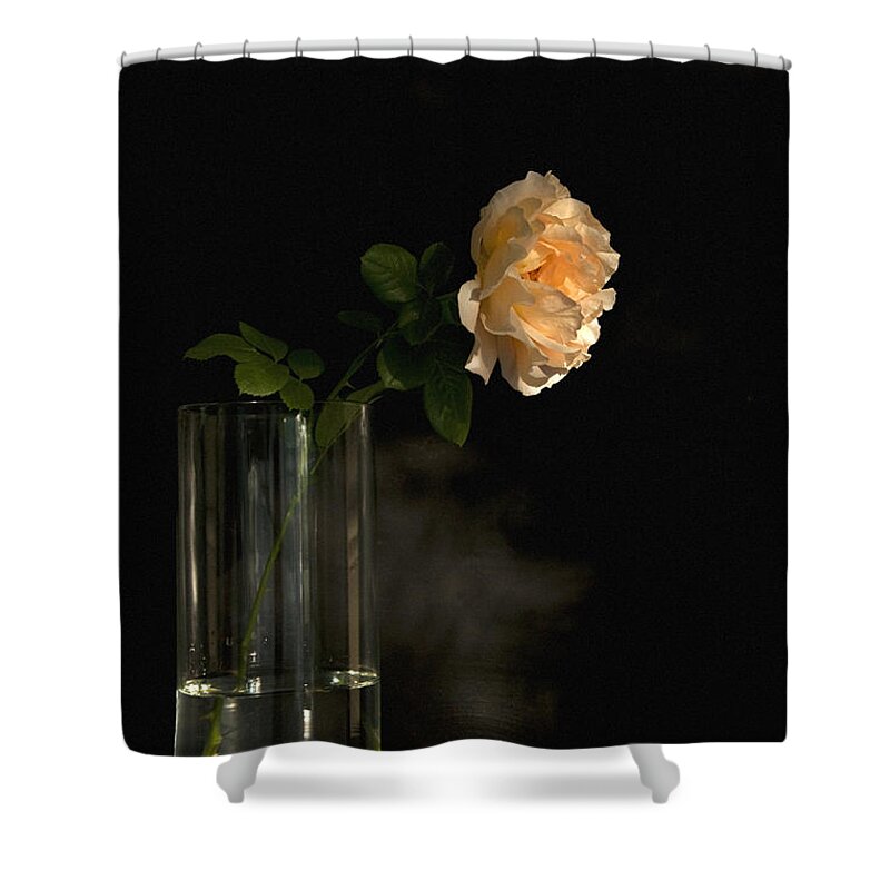 English Roses Shower Curtain featuring the photograph The Last Rose Of Summer by Theresa Tahara
