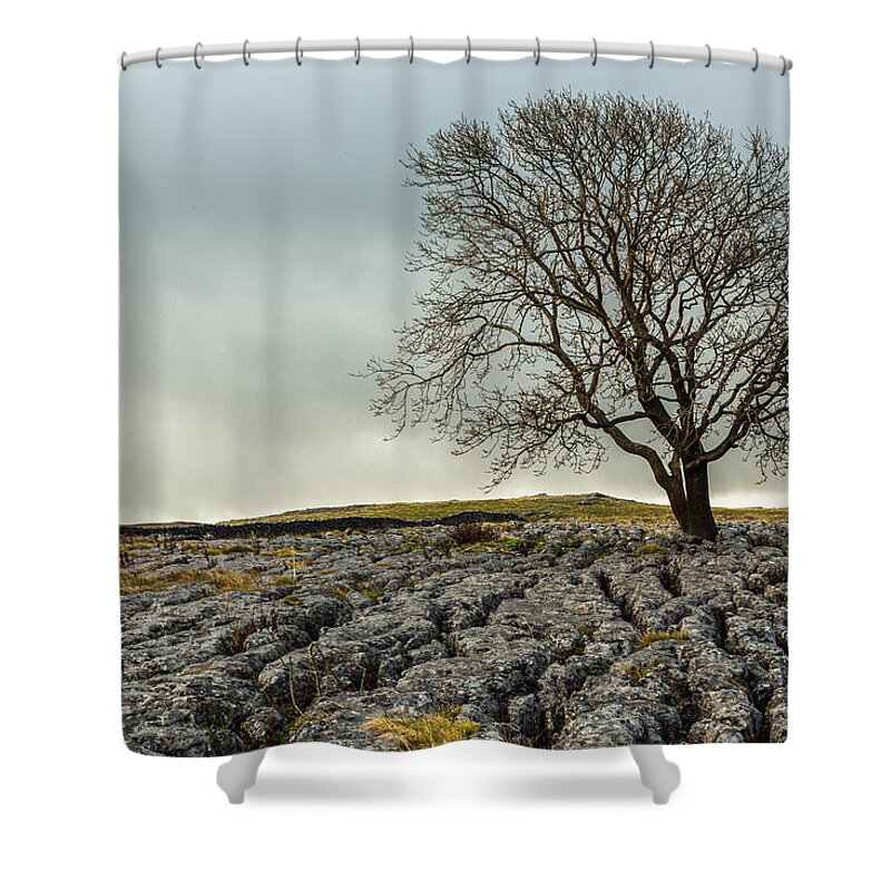 Tree Shower Curtain featuring the photograph The lonely tree by Sue Leonard