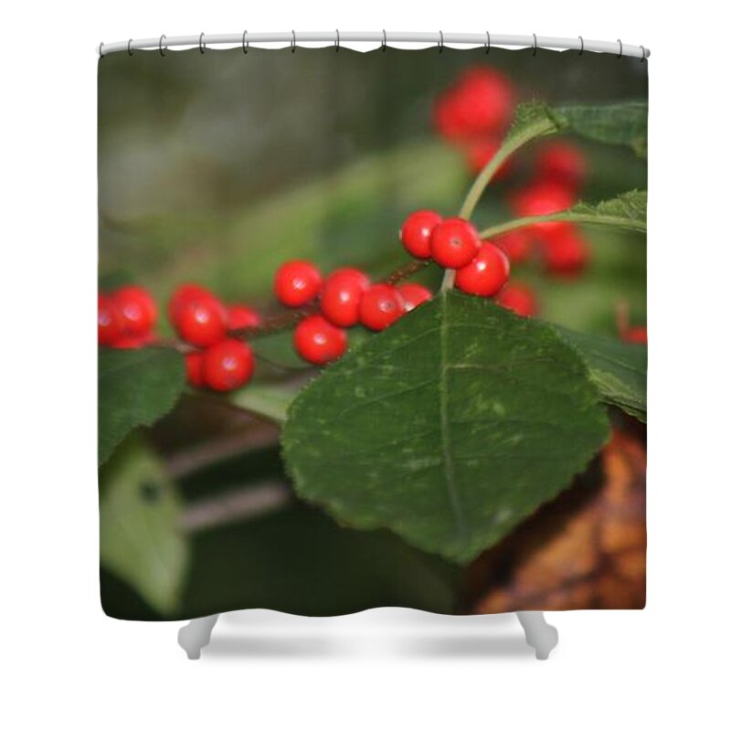  Shower Curtain featuring the photograph The Love Of Autumn by Chet B Simpson