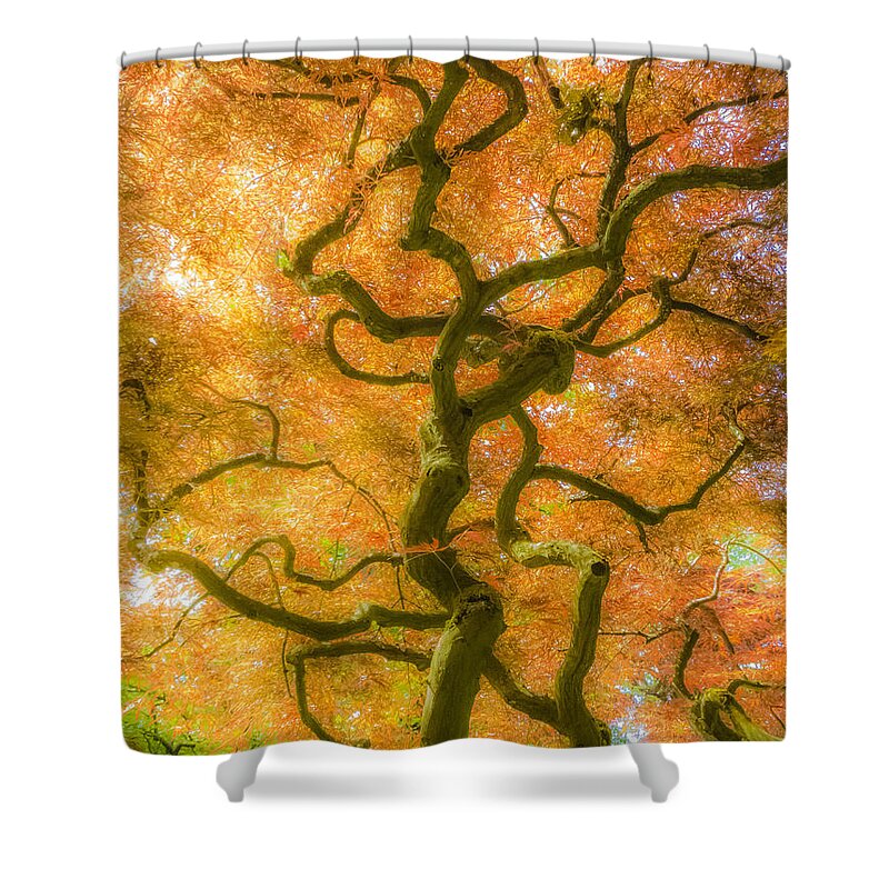 The Magic Forest Shower Curtain featuring the photograph The Magic Forest-15 by Casper Cammeraat