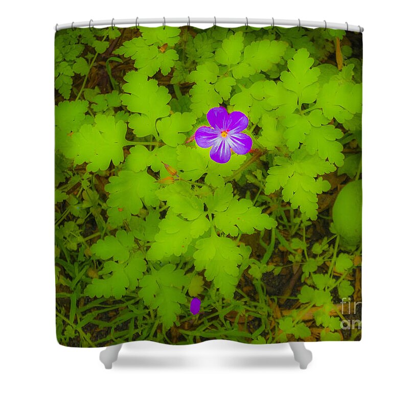 The Magic Forest Shower Curtain featuring the photograph The Magic Forest-16 by Casper Cammeraat