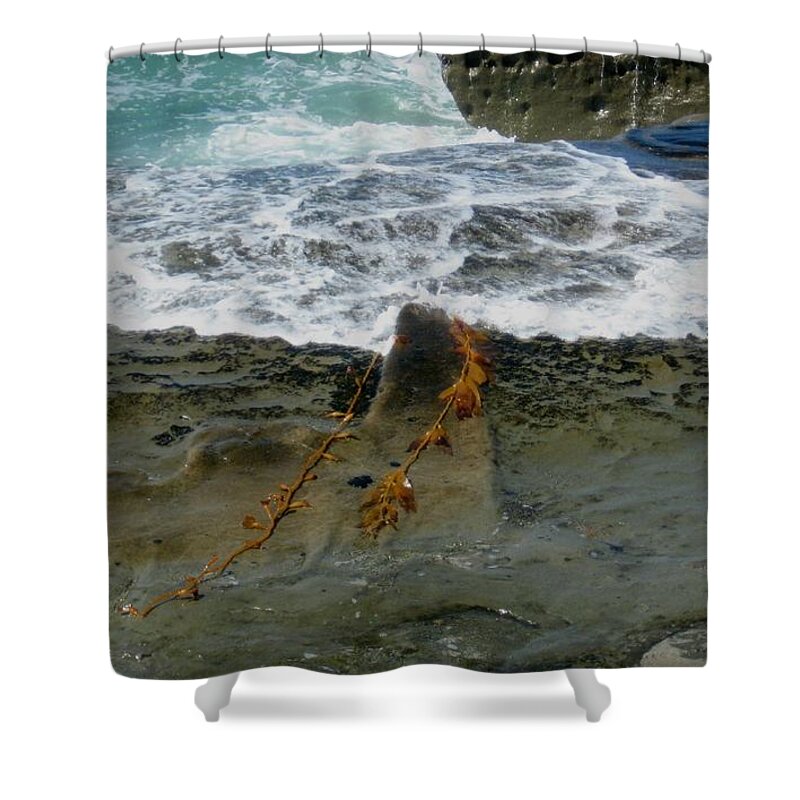 Seascape Shower Curtain featuring the photograph The Mermaid Necklace by Melissa McCrann
