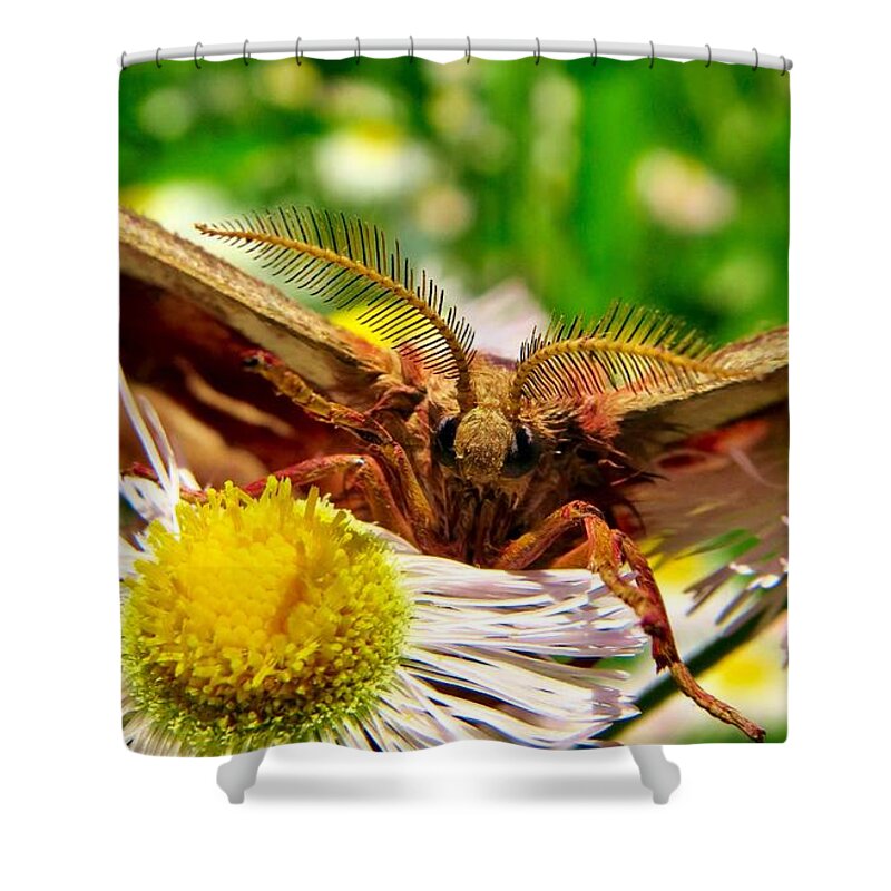 Nature Shower Curtain featuring the photograph The MothMan by Art Dingo