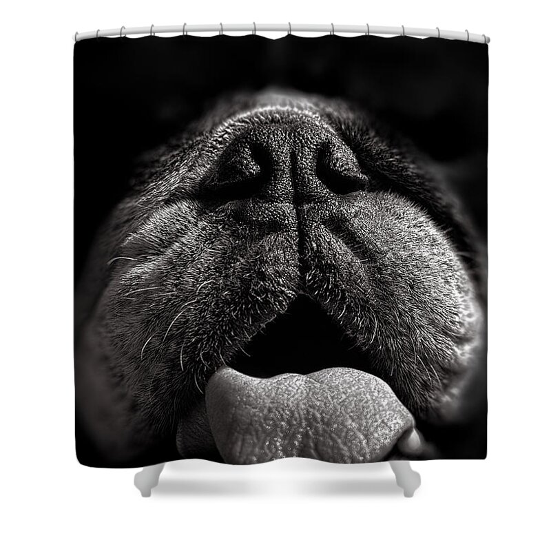 Dog Shower Curtain featuring the photograph The Nose Knows by Bob Orsillo