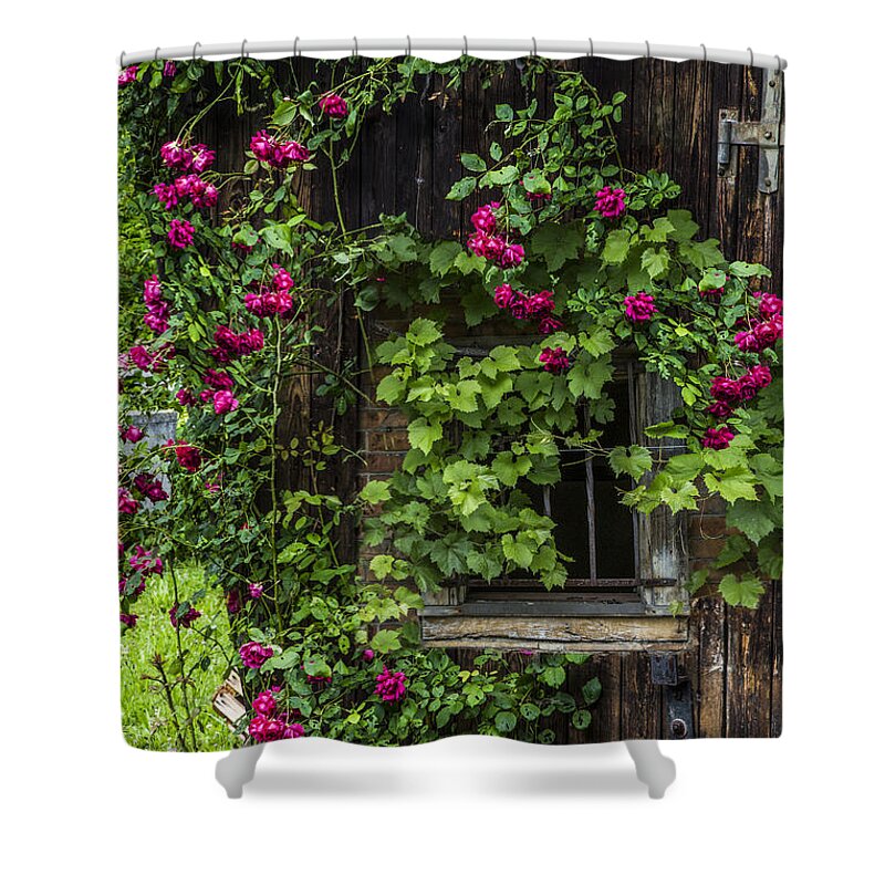 Austria Shower Curtain featuring the photograph The Old Barn Window by Debra and Dave Vanderlaan