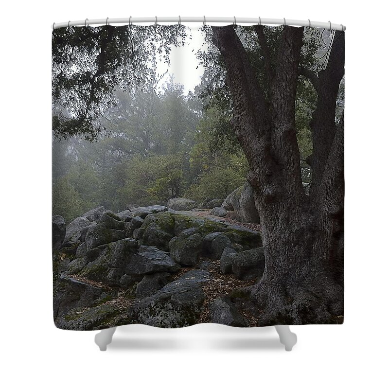 Grey Rocks Shower Curtain featuring the photograph The Old Oak Tree by Gerry High