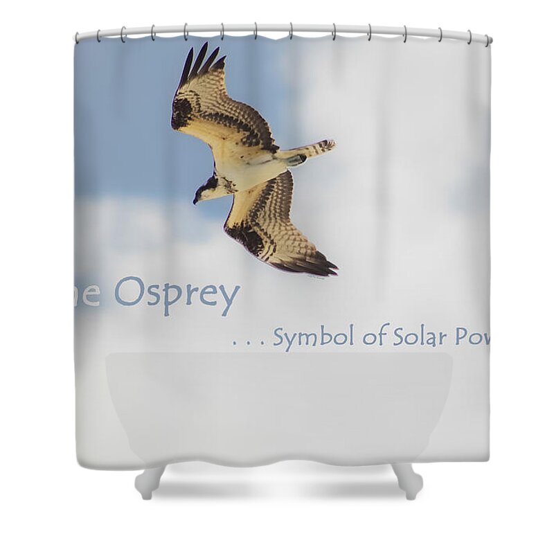 Osprey Shower Curtain featuring the photograph The Osprey by DigiArt Diaries by Vicky B Fuller