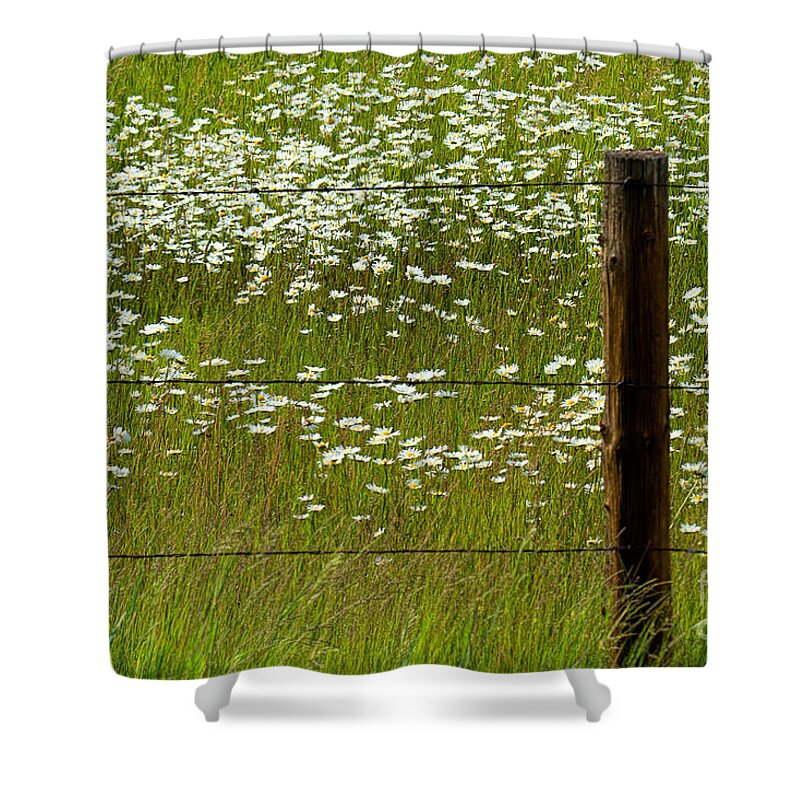 Flowers Shower Curtain featuring the photograph The Other Side by Jim Garrison