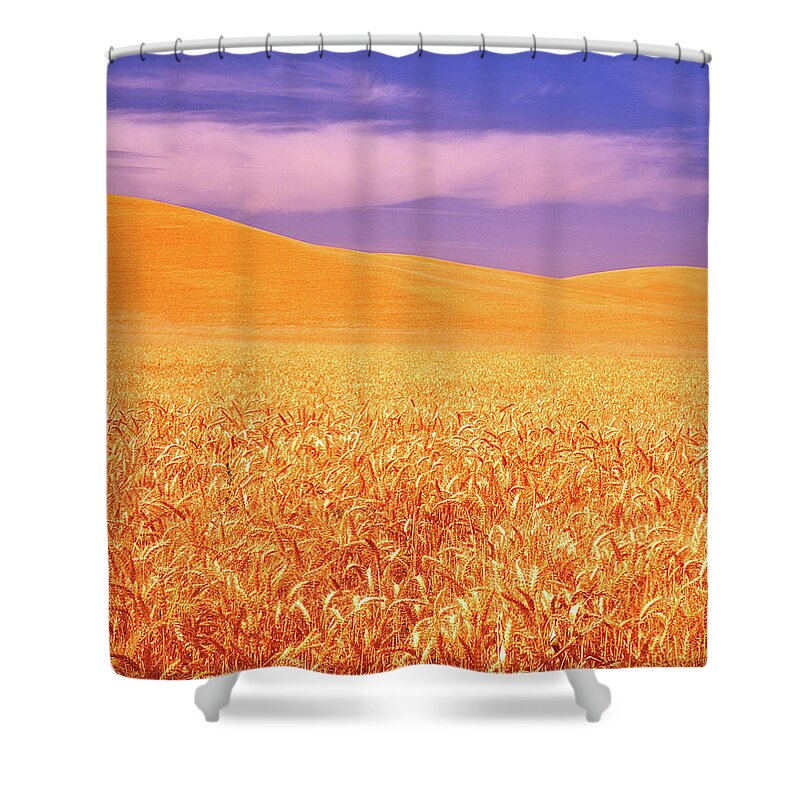 Steptoe Butte Shower Curtain featuring the photograph The Palouse Steptoe Butte by Ed Riche