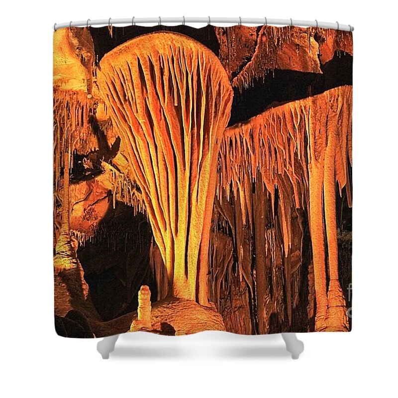 Parachute Shield Shower Curtain featuring the photograph The Parachute Shield by Adam Jewell