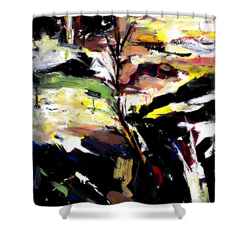 Landscape Shower Curtain featuring the painting The Path That Took Me To You by John Gholson