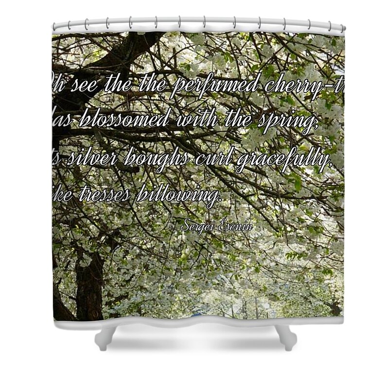 Blossoms Shower Curtain featuring the photograph The Perfumed Cherry Tree 1 by Joan-Violet Stretch