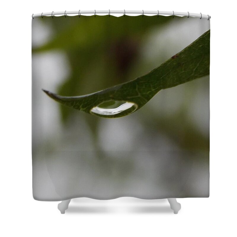 Suggestion Shower Curtain featuring the photograph Perception by John Glass