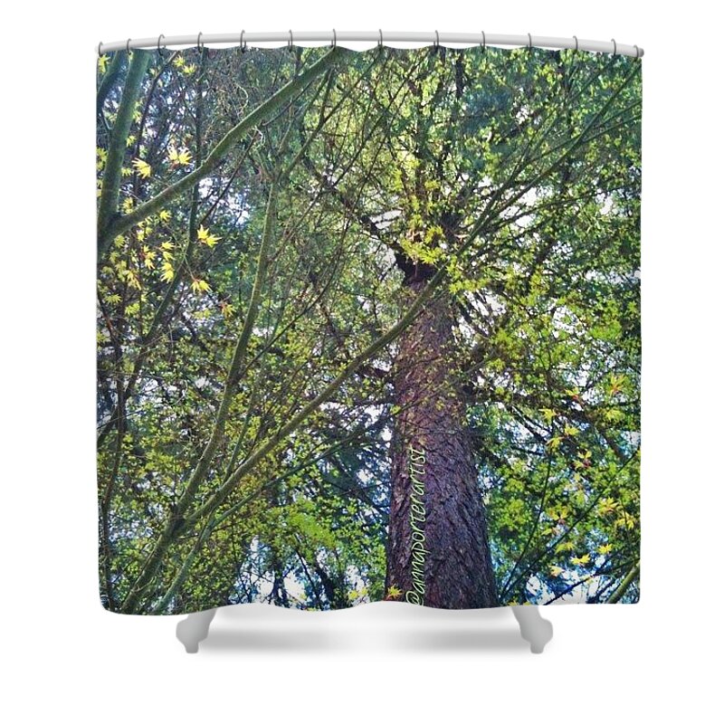 Instanaturelover Shower Curtain featuring the photograph The Promise Of Spring. #spring #green by Anna Porter