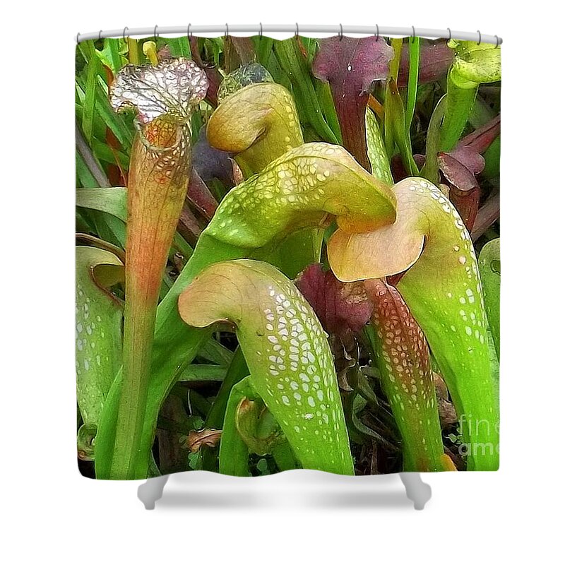 Carnivorous Shower Curtain featuring the photograph The Protector by Nancy Mueller