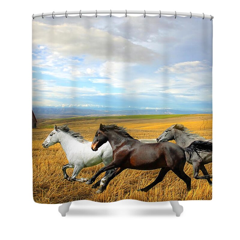 White Horses Shower Curtain featuring the photograph The Race by Steve McKinzie