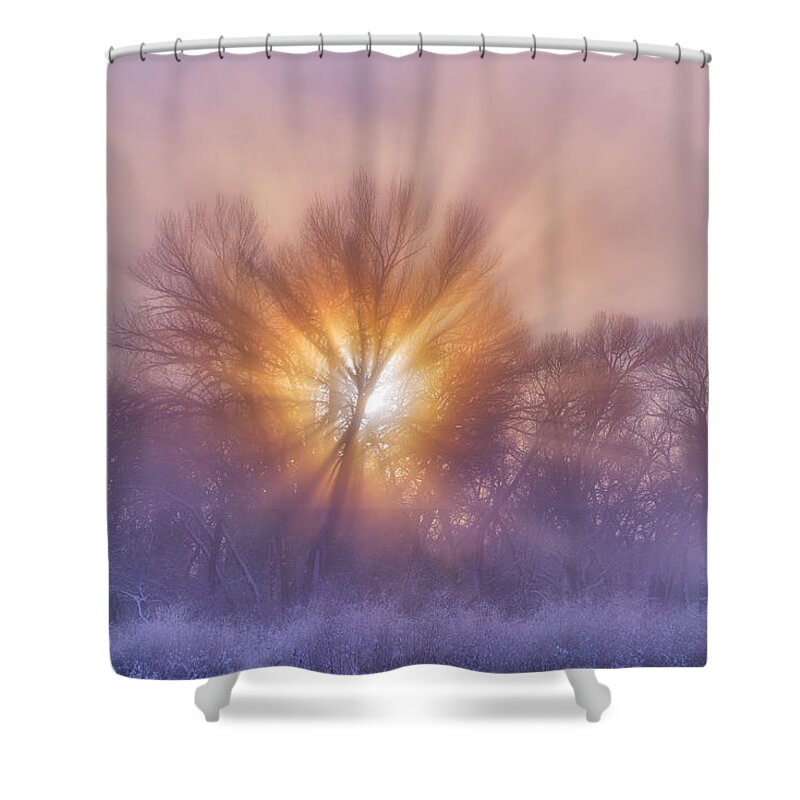 Christmas Shower Curtain featuring the photograph The Rising by Darren White