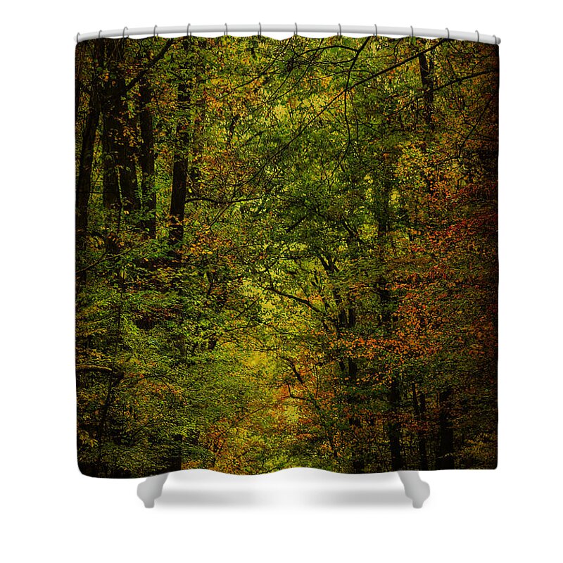 Autumn Shower Curtain featuring the photograph The Road Into Fall by Carol Senske