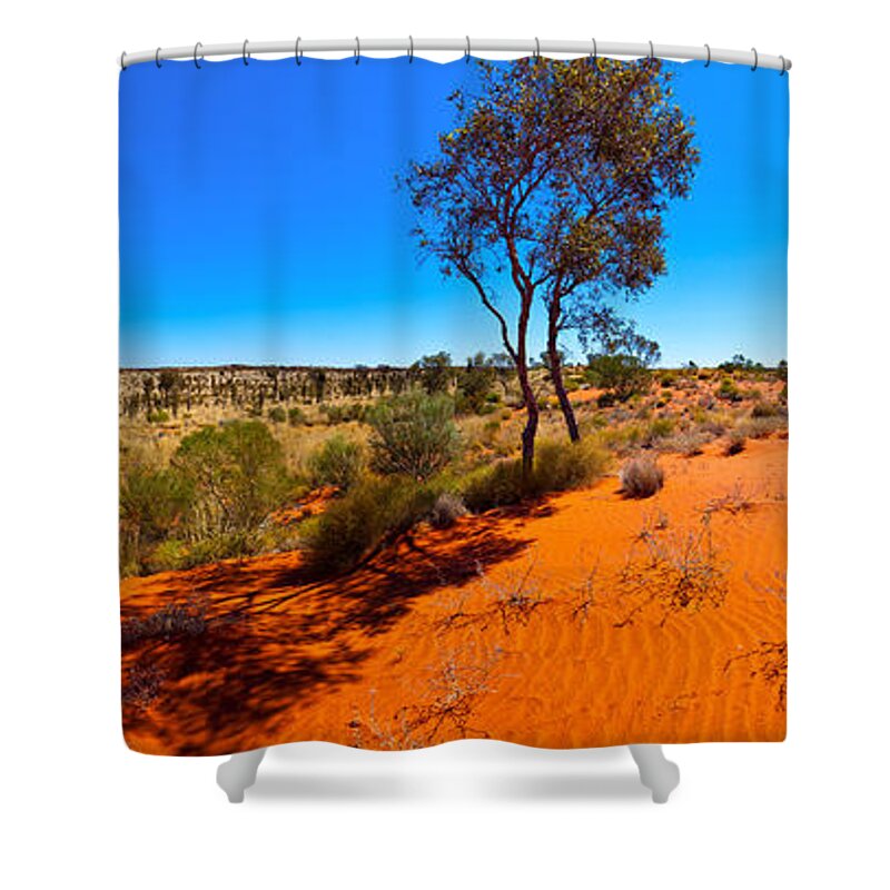 The Road To Uluru Outback Landscape Central Australia Australian Gum Tree Desert Arid Sand Dunes  Shower Curtain featuring the photograph The Road to Uluru by Bill Robinson