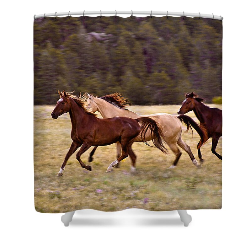 Landscape Shower Curtain featuring the photograph The Run by Steven Reed
