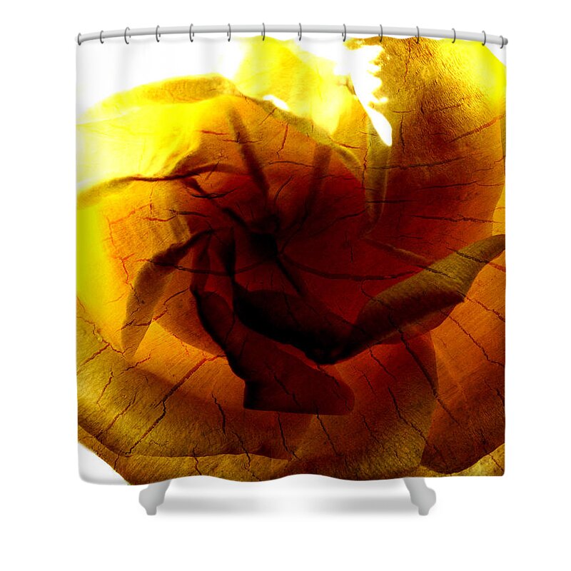 Rose Shower Curtain featuring the photograph The Scorched Rose by Steve Taylor
