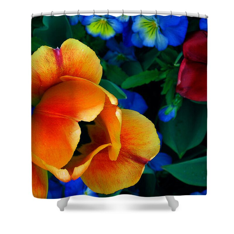Flowers Shower Curtain featuring the photograph The Secret Life of Tulips by Rory Siegel
