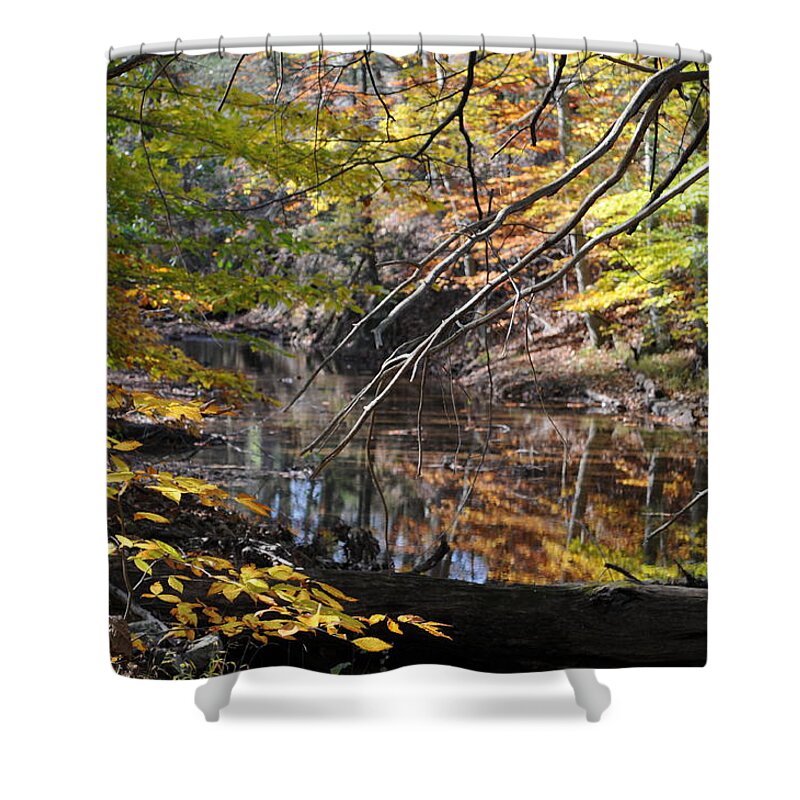 Landscape Shower Curtain featuring the photograph The Sentry by Jack Harries