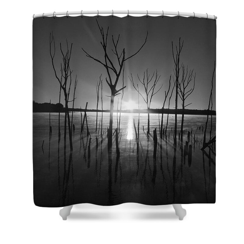 Manasquan Reservoir Shower Curtain featuring the photograph The Star Arrives by Raymond Salani III