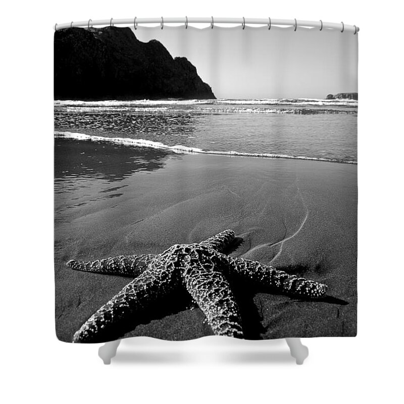 Starfish Shower Curtain featuring the photograph The Starfish by Peter Tellone