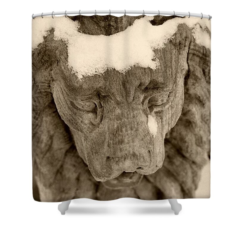 Stone Lion Shower Curtain featuring the photograph The Stone Lions Frozen Tear by John Harmon