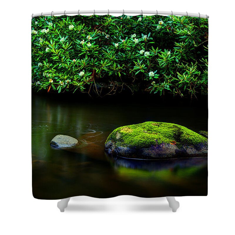 Quiet River Scene Shower Curtain featuring the photograph The Stream's Embrace by Michael Eingle
