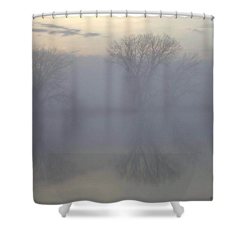 Landscape Shower Curtain featuring the photograph The Trees of Avalon by Fiskr Larsen