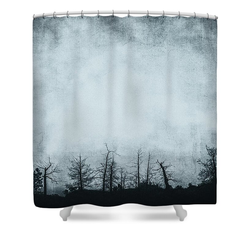 Grunge Shower Curtain featuring the photograph The Trees On The Ridge by Theresa Tahara