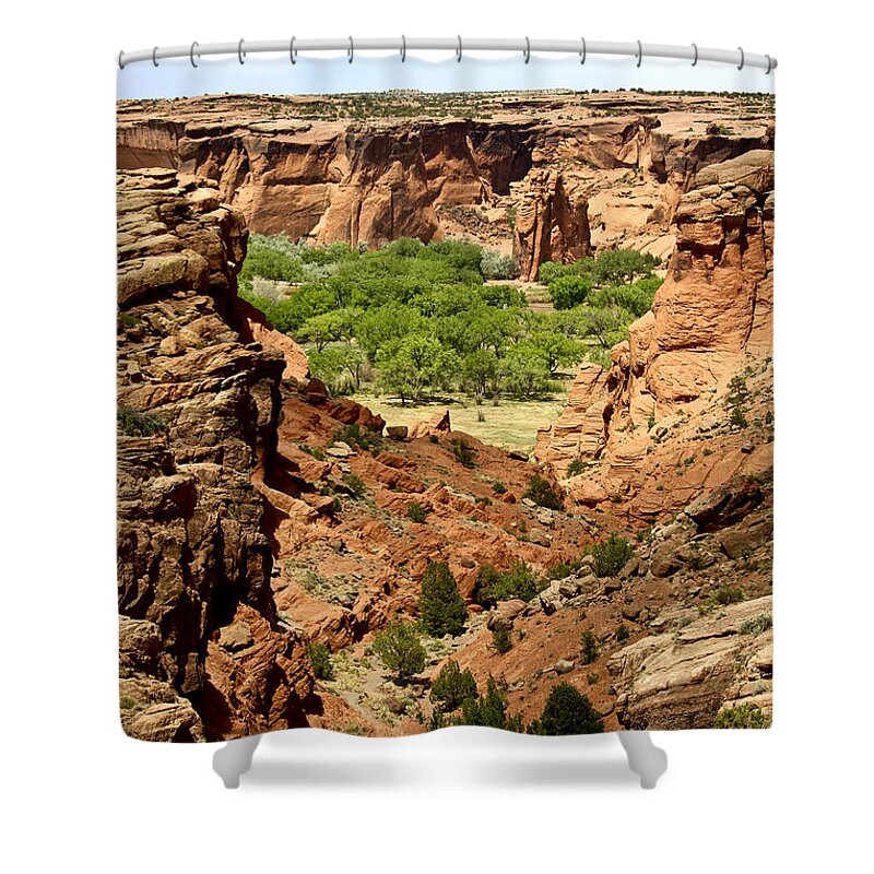 Arizona Shower Curtain featuring the photograph The Tseyi by Kathy McClure