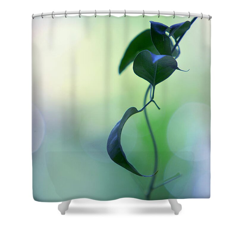 Nature Shower Curtain featuring the photograph The Unbearable Lightness of Being. Natural Wonders by Jenny Rainbow