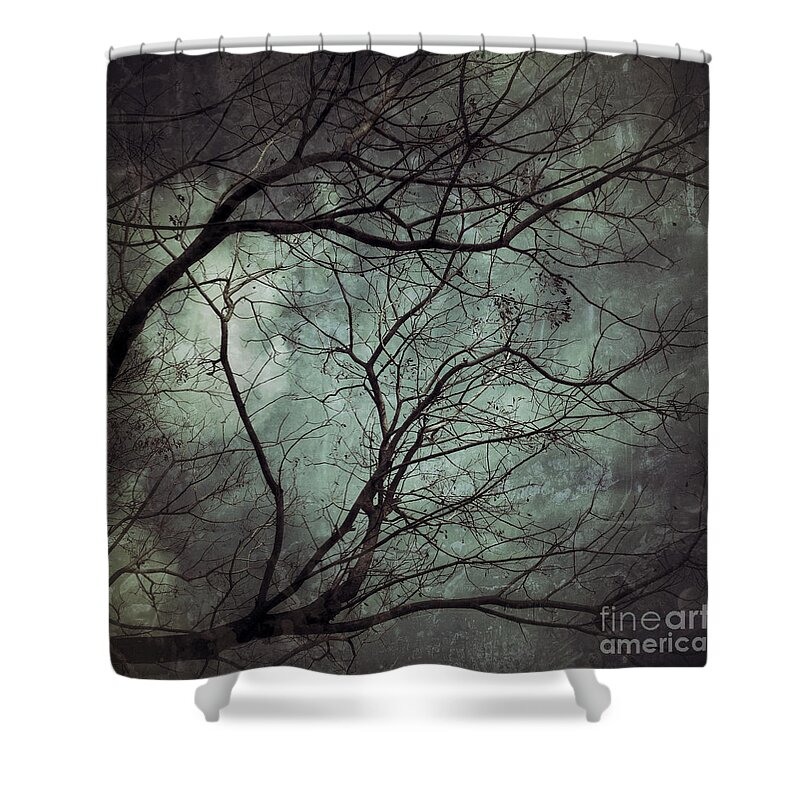 Photography Shower Curtain featuring the photograph The Unknown by Ivy Ho